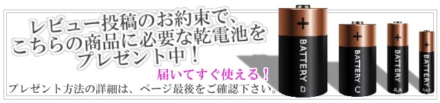 着後レビューで乾電池プレゼント