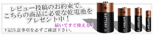 着後レビューで乾電池プレゼント