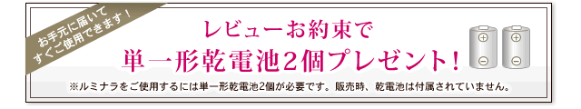 レビューお約束で単一形乾電池2個プレゼント!