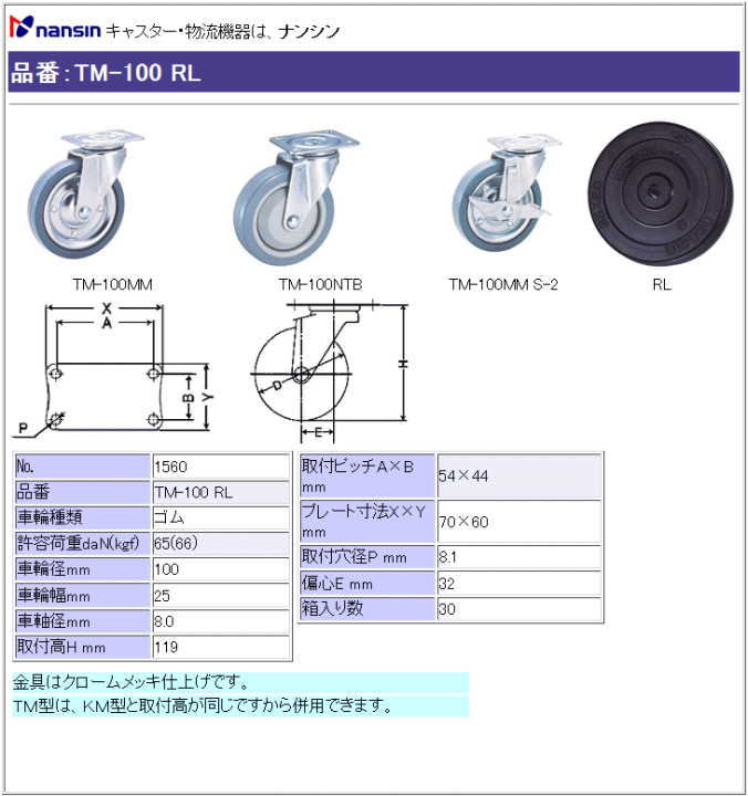 iV LX^[ TM-100 RL Sԗ ڍ