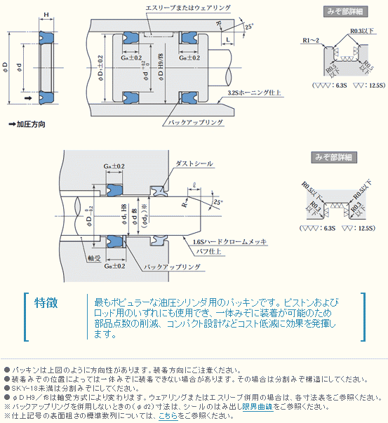 㐻쏊 ppbL(sXgEbhp) SKYpbL @