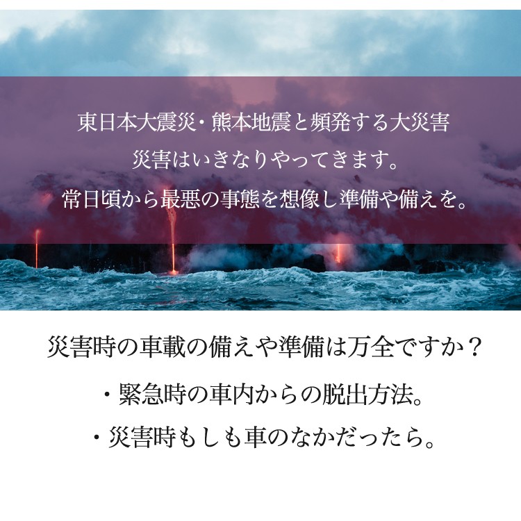 防災セット,サバイバル用,完全防水バッグ,防災グッズ,非常用持ち出しセット,被災者の声を元に厳選した防災グッズ,スマホ充電対応,震災,地震