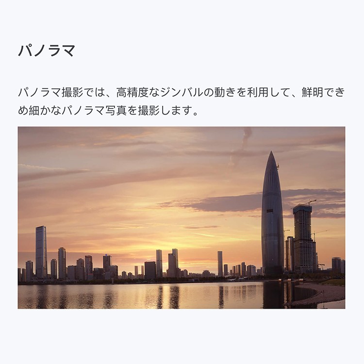 【国内正規品】,DJI,RONIN－S,スタビライザー,一眼レフ,ミラーレス用,ジンバル,片手用カメラジンバル,互換性,スムーズトラック,ビデオ,カメラ,手ブレ補正,DJI,GO,PRO,パノラマ,アクション