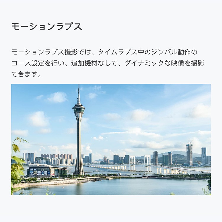 【国内正規品】,DJI,RONIN－S,スタビライザー,一眼レフ,ミラーレス用,ジンバル,片手用カメラジンバル,互換性,スムーズトラック,ビデオ,カメラ,手ブレ補正,DJI,GO,PRO,パノラマ,アクション