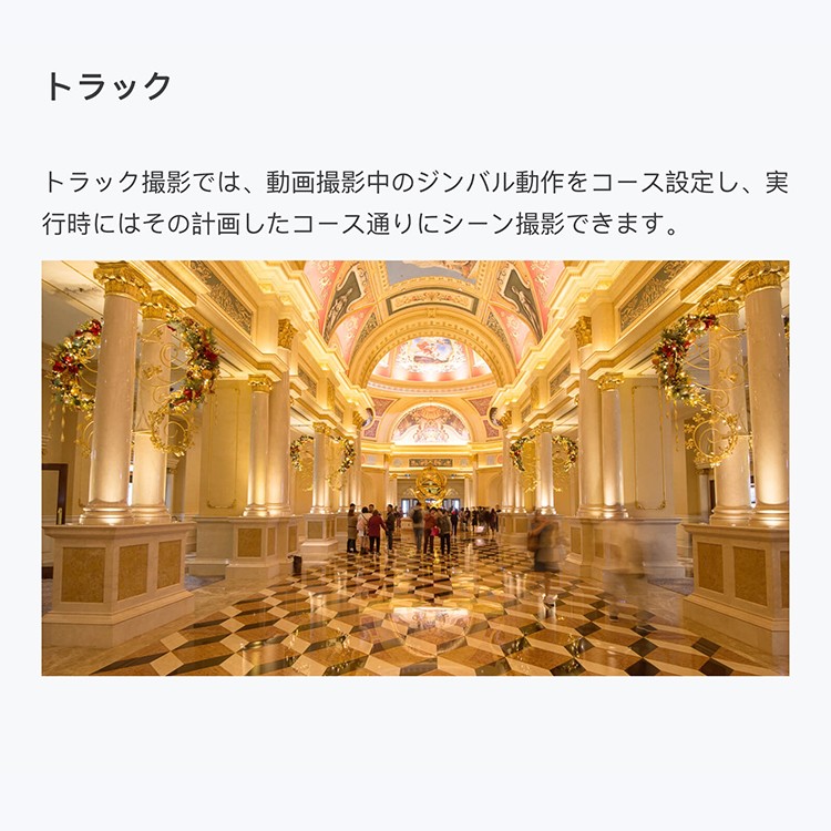 【国内正規品】,DJI,RONIN－S,スタビライザー,一眼レフ,ミラーレス用,ジンバル,片手用カメラジンバル,互換性,スムーズトラック,ビデオ,カメラ,手ブレ補正,DJI,GO,PRO,パノラマ,アクション