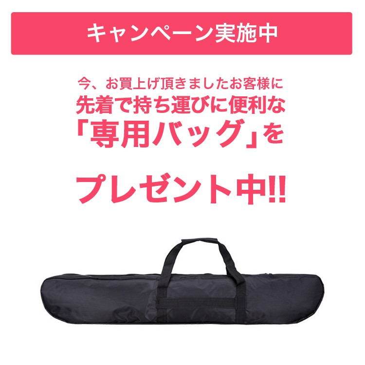 電動キックボード 電気キックボード キックスクーター 立ち乗り式二輪車 電動バイク スクーター バランス歩行機 アシスト歩行 保険完備 国内正規品