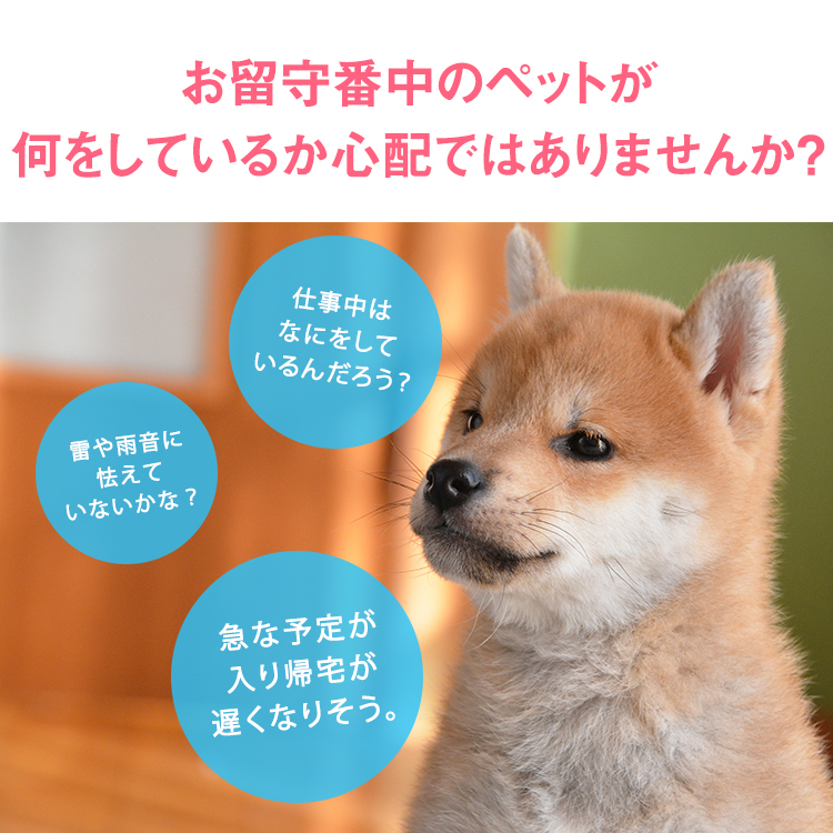 フラッシュセール アプリトリートディスペンサーカメラ ドッグカメラ ペットカメラ ペット 会話 録音 簡単 スマホ 安いクリアランス Ssl Daikyogo Or Jp