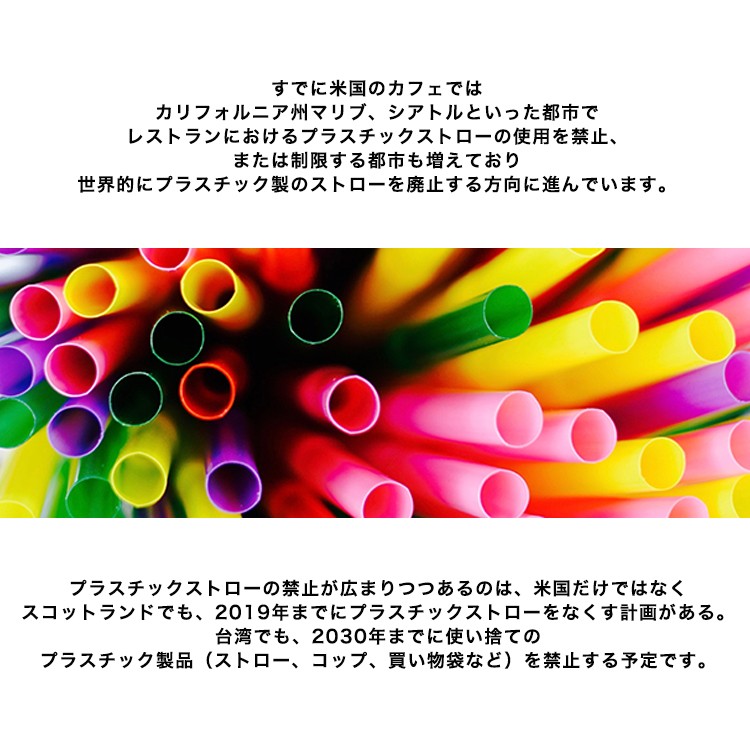 ステンレス,ストロー,折りたたみ式,マイストロー,持ち運び,環境,エコ,収納ストロー,アウトドア,キャンプ,BBQ