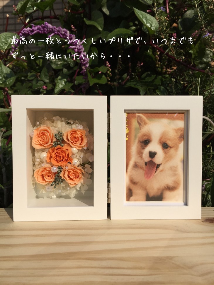 フォトフレーム（オレンジ）/写真立て/結婚祝い/結婚記念日/誕生日プレゼント/贈り物送料無料 lpm0024 商品イメージ1