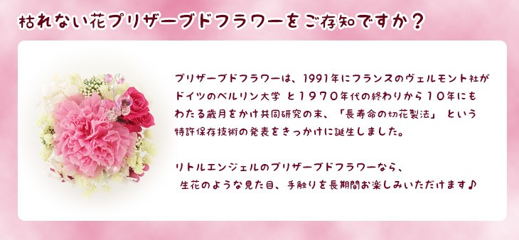 プリザーブドフラワー プチギフトはピンクのかわいいカーネーション母の日/誕生日/愛妻の日/ホワイトデー送料無料 商品イメージ13