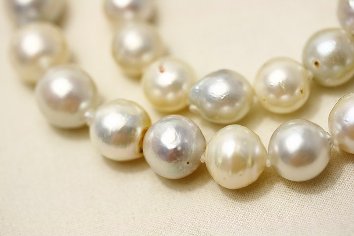 【クリッカー入门セット78】南洋白蝶真珠nc/p 2点セット,日本代购