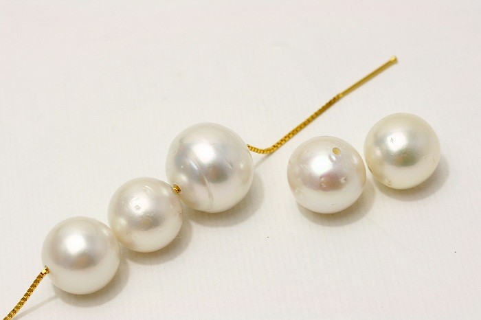 男女饰品,钟表 饰品(女性用) 项链,耳坠 珍珠 白蝶珍珠 近年街中でよ