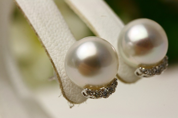 男女饰品,钟表 饰品(女性用) 耳环 珍珠 白蝶珍珠 素晴らしい养殖场で