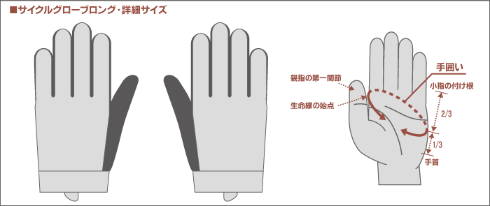 サイズ表
