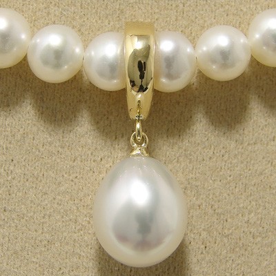 南洋白蝶珍珠クリッカー白色系9.